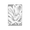 M2_Dotting_Points_-_Freesia_flower