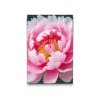 M2_Diamond_Paintings_-_Peony_flower