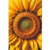 M11_Diamond_Paintings_-_Sunflower_flower