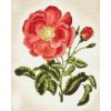 Diamond Painting - Vintage Rose