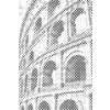 M11_Dotting_Points_-_Colosseum_up_close