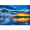 Diamond Painting - Sunset and Dark Tree