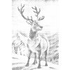 M11_Dotting_Points_-_Deer_in_snowy_mountains