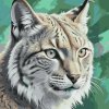 M11_Painting_by_Numbers_-_Lynx_in_shades_of_muted_green