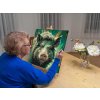 M9_Painting_by_Numbers_-_Wild_boar_in_shades_of_muted_green
