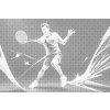 M11_Dotting_Points_-_Badminton