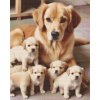 M11_Diamond_Paintings_-_Golden_retriever_and_puppies