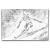M2_Dotting_Points_-_Alpine_skiing