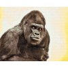 Diamond Painting - Gorilla