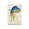 Diamond Painting - Vintage Parrot