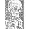 M11_Dotting_Points_-_Skeleton