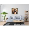 M3_Diamond_Paintings_-_Afghan_Greyhound