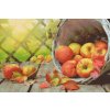 M11_Diamond_Paintings_-_Apples_in_a_Basket