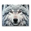 M2_Diamond_Paintings_-_Snowy_wolf
