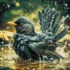 M11_Diamond_Paintings_-_Bird_bath