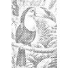 M11_Dotting_Points_-_Toucan