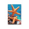 M2_Painting_by_Numbers_-_Starfish