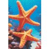 M11_Diamond_Paintings_-_Starfish