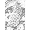 M11_Dotting_Points_-_Juicy_pineapple
