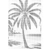 M11_Dotting_Points_-_Palm_tree_on_the_beach