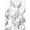 M11_Dotting_Points_-_Rabbit_with_a_pink_bow