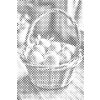 M11_Dotting_Points_-_Basket_full_of_eggs