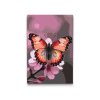 M2_Painting_by_Numbers_-_Butterfly_on_a_spring_branch