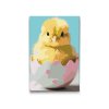 M2_Painting_by_Numbers_-_Easter_chick_in_the_eggshell