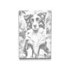 M2_Dotting_Points_-_Border_Collie_puppy