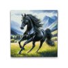 M2_Diamond_Paintings_-_Black_stallion