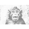 M11_Dotting_Points_-_Cheerful_Monkey