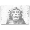 M2_Dotting_Points_-_Cheerful_Monkey