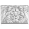 M2_Dotting_Points_-_Colorful_lion_5