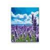 M2_Painting_by_Numbers_-_Lavender_in_the_field
