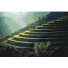 Paint by Number - Bali Rice Field