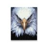 Diamond Painting - Eagle Head