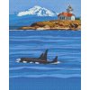 Diamond Painting - Orcas