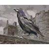 Paint by Number - King Raven