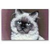 Diamond Painting - Portrait of Cat