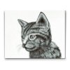 Diamond Painting - Cute Black and White Kitten