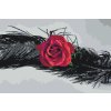 Paint by Number - Rose in a Feather