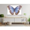 Diamond Painting - Butterfly Wings