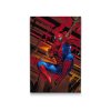 Diamond Painting - Spiderman