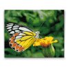 Diamond Painting - Butterfly on a Yellow Flower