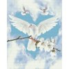 Diamond Painting - Doves