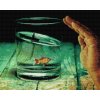 Diamond Painting - Fish in the Glass