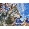 Diamond Painting - Wolf in the Mountains