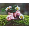 Diamond Painting - Daisies in the Conch