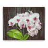 Diamond Painting - White Orchid