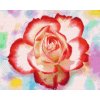 Diamond Painting - Rose on a Colorful Background